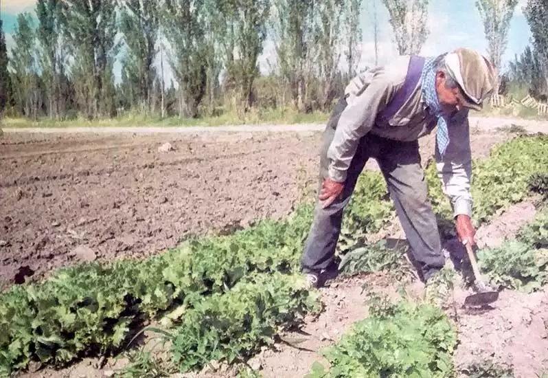 Agricultura