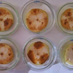 Detectan una bacteria que afecta peras y manzanas del Alto Valle