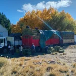 La asistencia por las nevadas alcanzó a 700 familias rurales