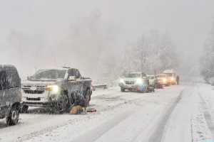 nieve-ruta