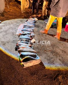 policiales