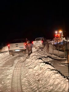 policiales