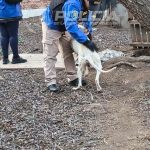 Rescataron a un perro con lesiones durante un operativo por maltrato