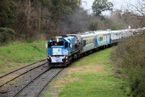 tren-solidario