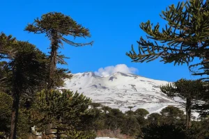 Volcan-Copahue