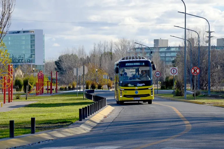 colectivo-electrico