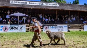 sociedad-rural