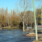 La AIC aclaró que no se esperan subas en el caudal del río Neuquén