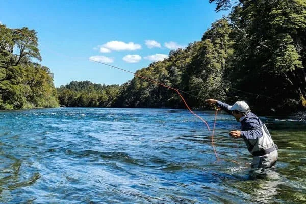 pesca