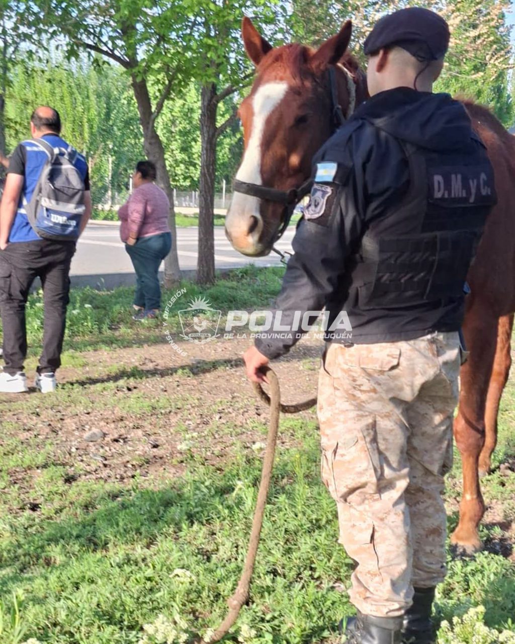 policiales